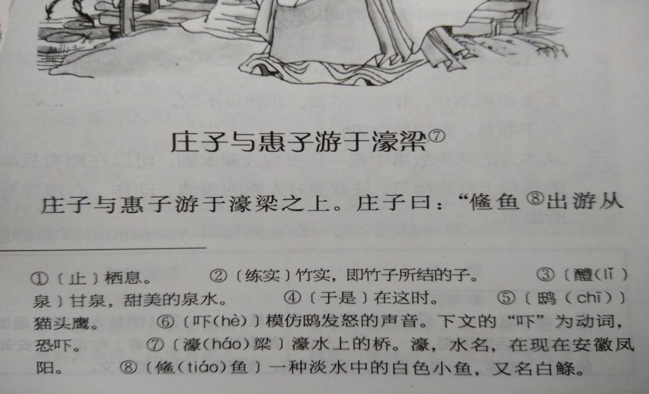 未被《简化字总表》收录的"简体字"