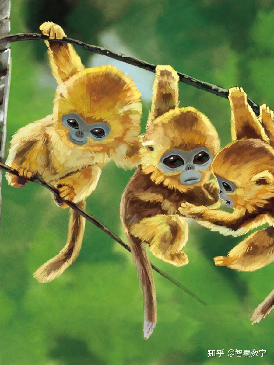 人与自然和谐共生教育:金丝猴(上) - 知乎