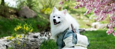 GSEA第5弹！GSEA富集的第3种打开方式 - 知乎