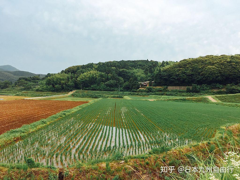 日本九州民泊系列体验99去乡下住一晚长崎松浦田代地区99福守奶奶