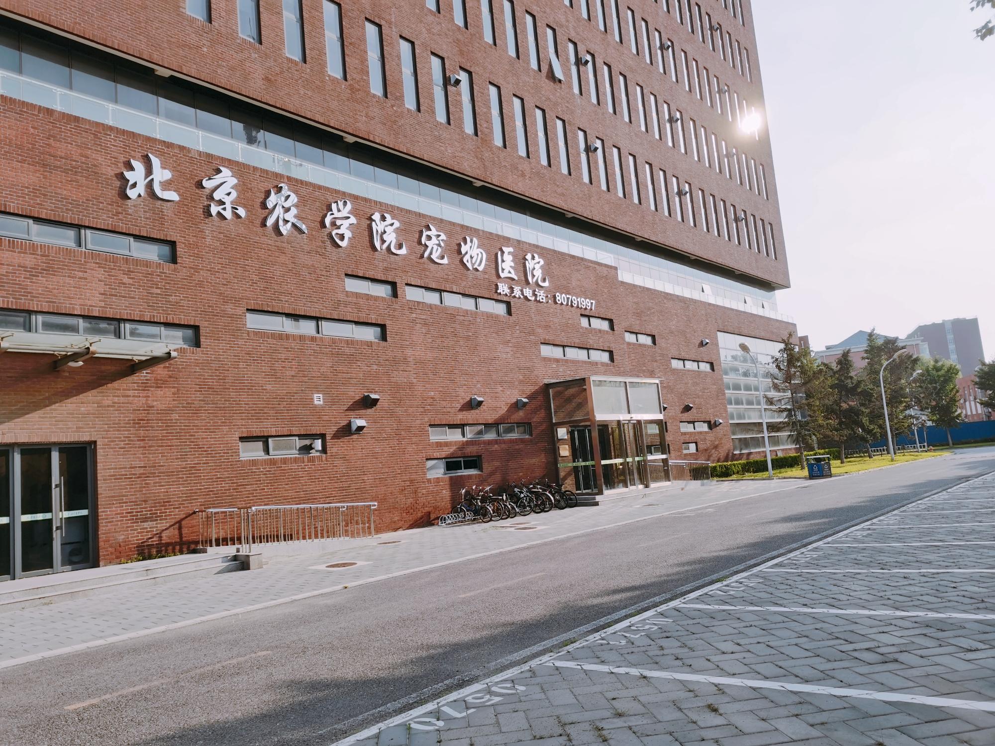 北京农学院园林楼图片