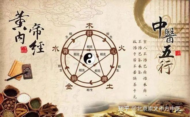 中医揭秘:人体经络与人体之“气”间的——能量关系! - 知乎