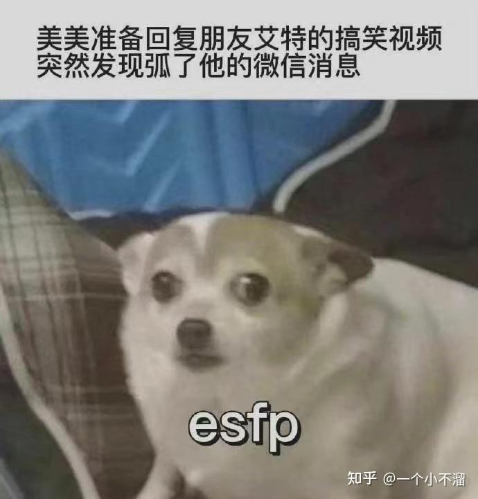 Esfp型人格解析 知乎 6592