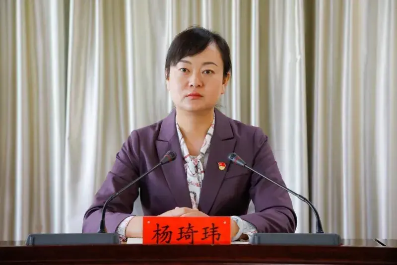 杨琦玮此外,7月29日,清华女博士张琪已就任河北张家口市怀来县县长
