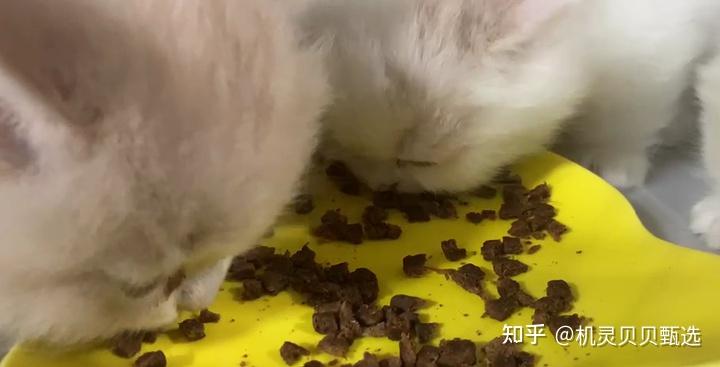 使用机灵助手的好处