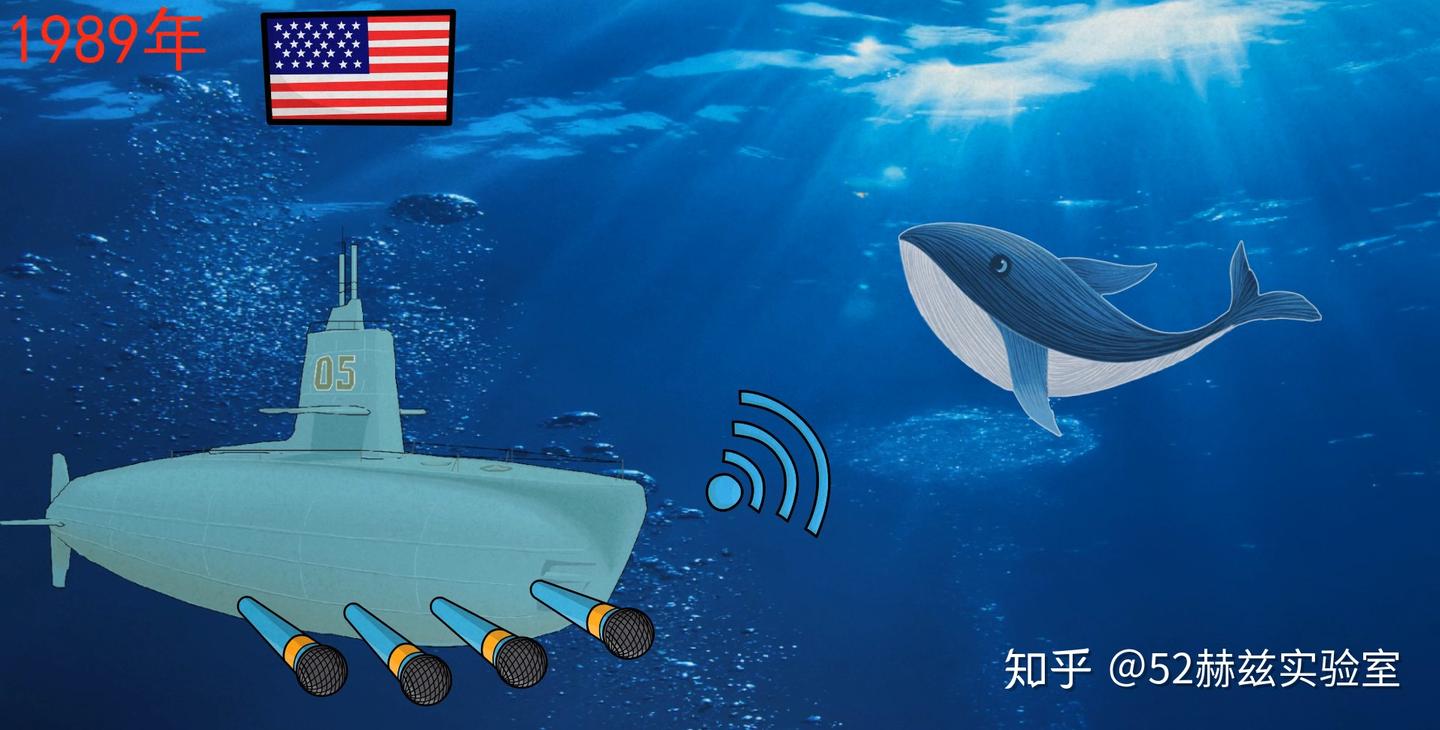 你知道世界上最孤独的生物是什么？ - 知乎