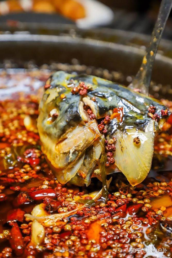 高铁1.5h跑拢!四川这座千年江城,美食美景无数!终于藏不住了!