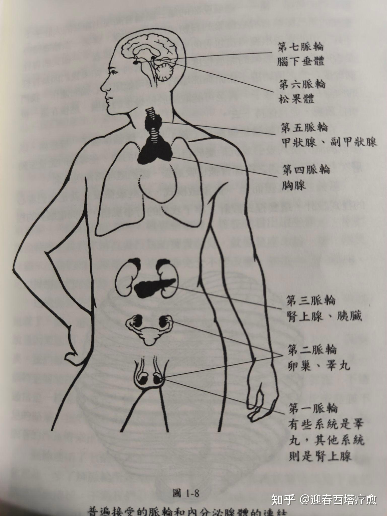 脉轮总汇(一)
