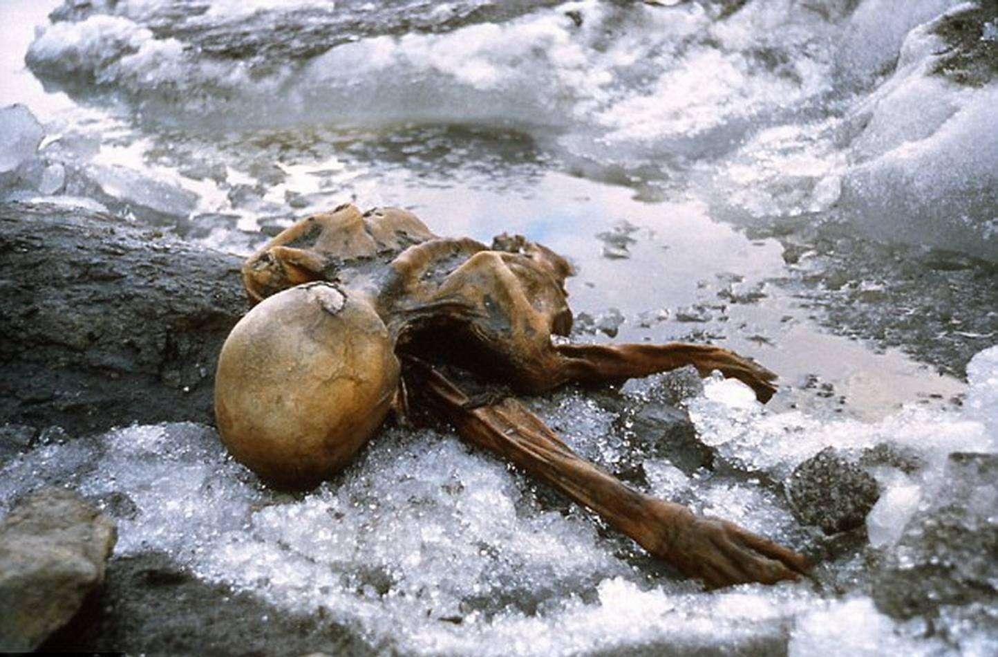 穿越5000 年的「奥茨」冰人