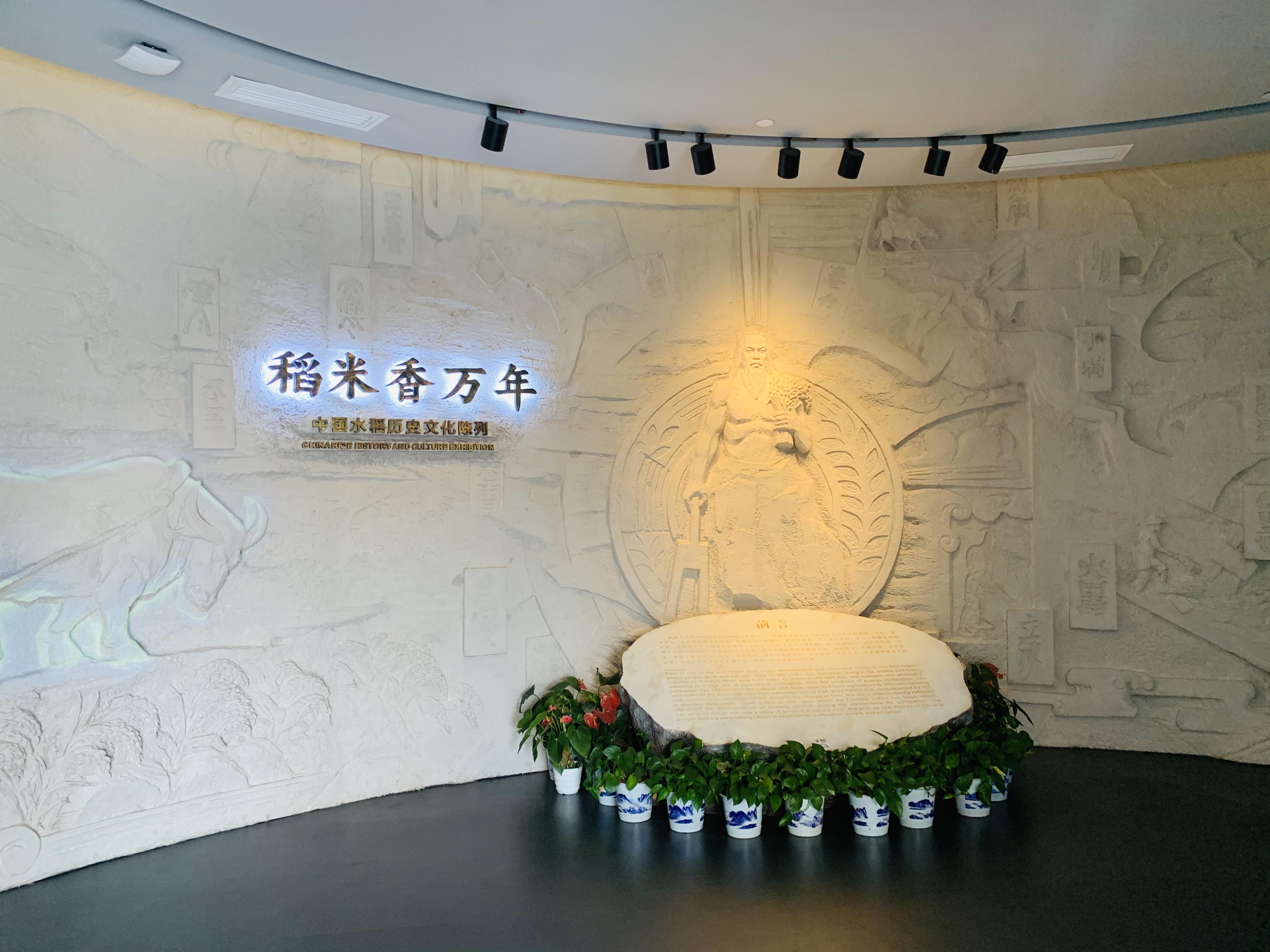 长沙逛隆平水稻博物馆