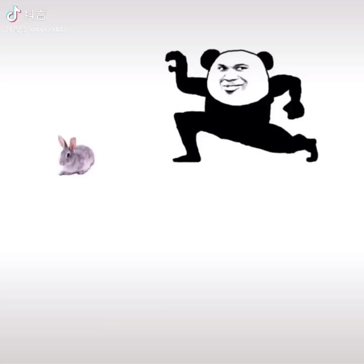 看一遍笑一遍每日一笑搞笑我们是认真滴搞笑动物