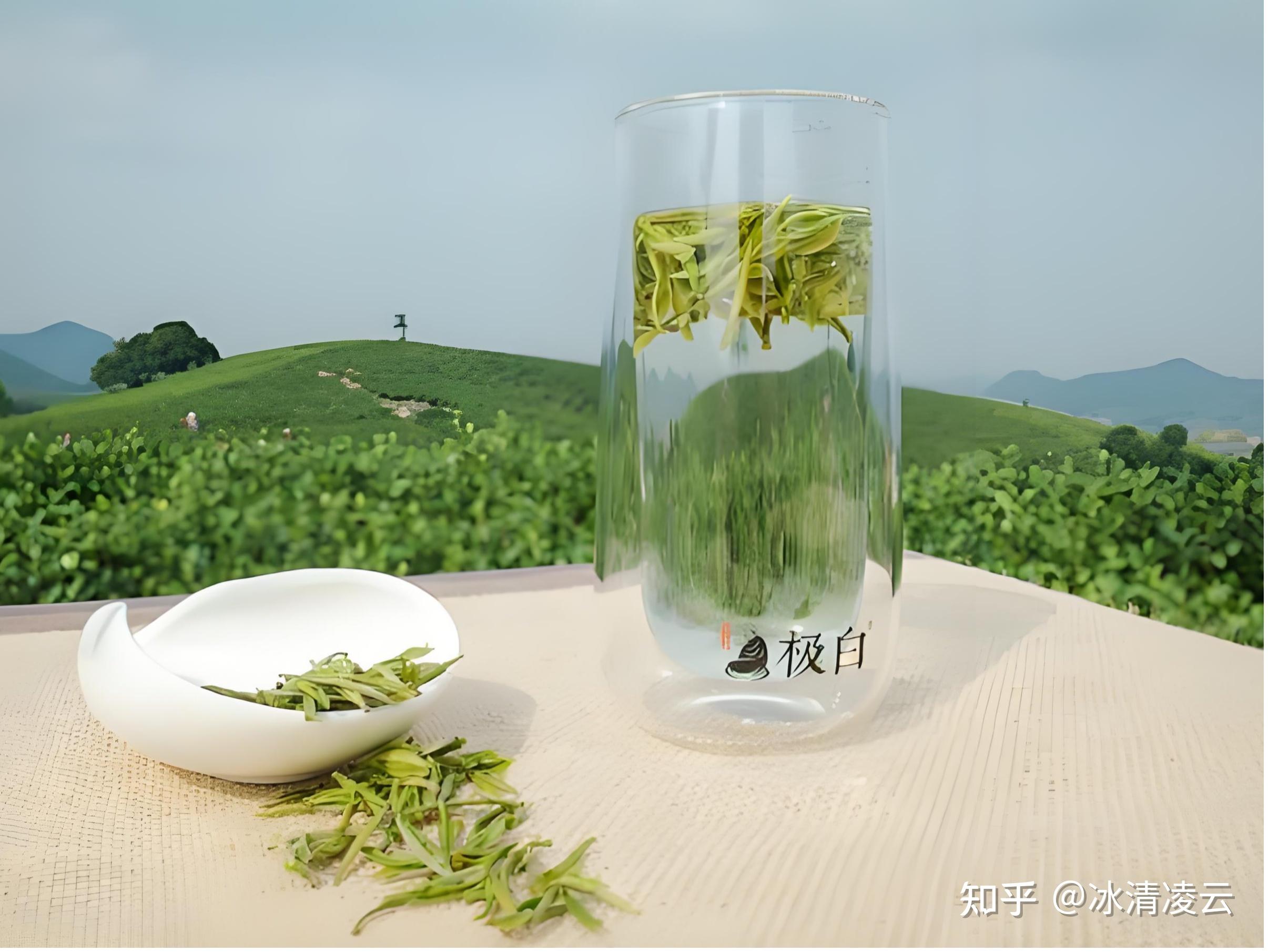 茶叶品牌知识分类,送礼送人推荐品牌,极白安吉白茶推荐选购指南!