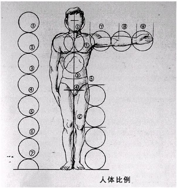 年齡大小的比例差異前面我們所接觸的比例都是以青壯年男女為比例講解