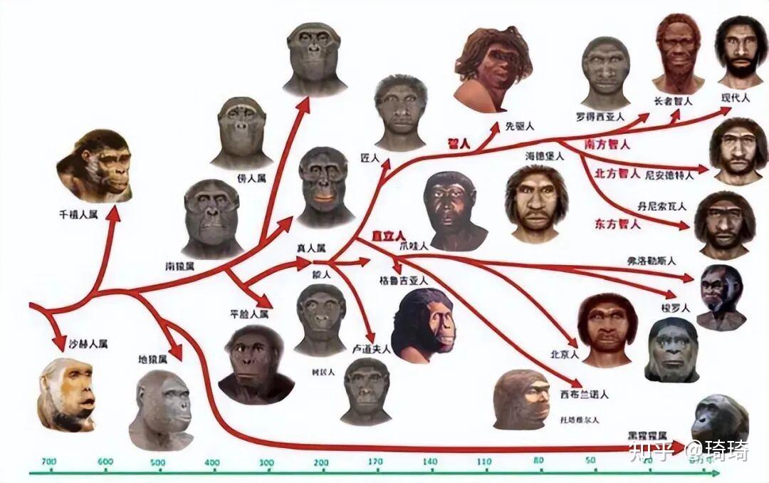 地球曾经至少有六个人种,为什么如今只剩下我们人类自己? - 知乎