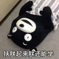 教育学考研教材你怎么看