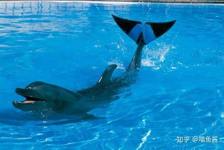 参观冲绳美丽海水族馆有感