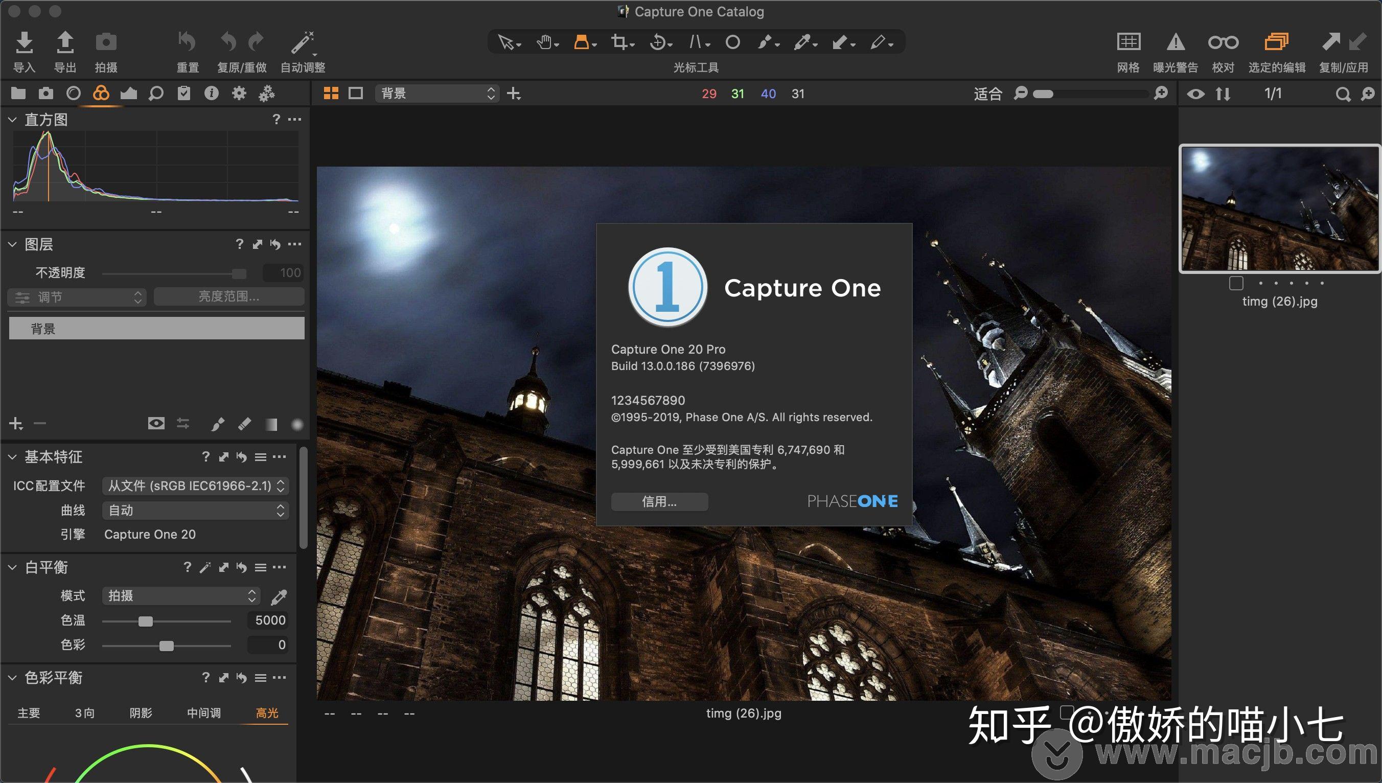 captureonepro20formacraw图像编辑
