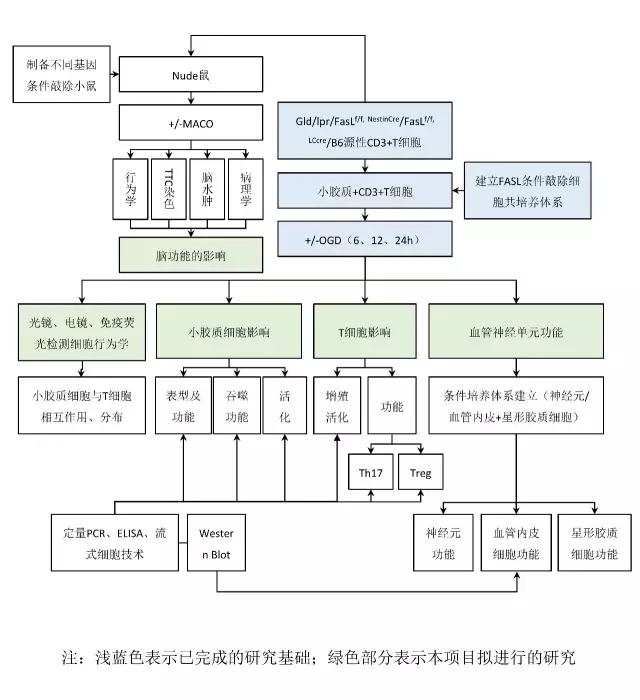 技术路线图怎么画？ - 知乎