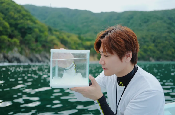 俊平大魔王,千万粉丝完美诠释内容为王的真谛 - 知乎