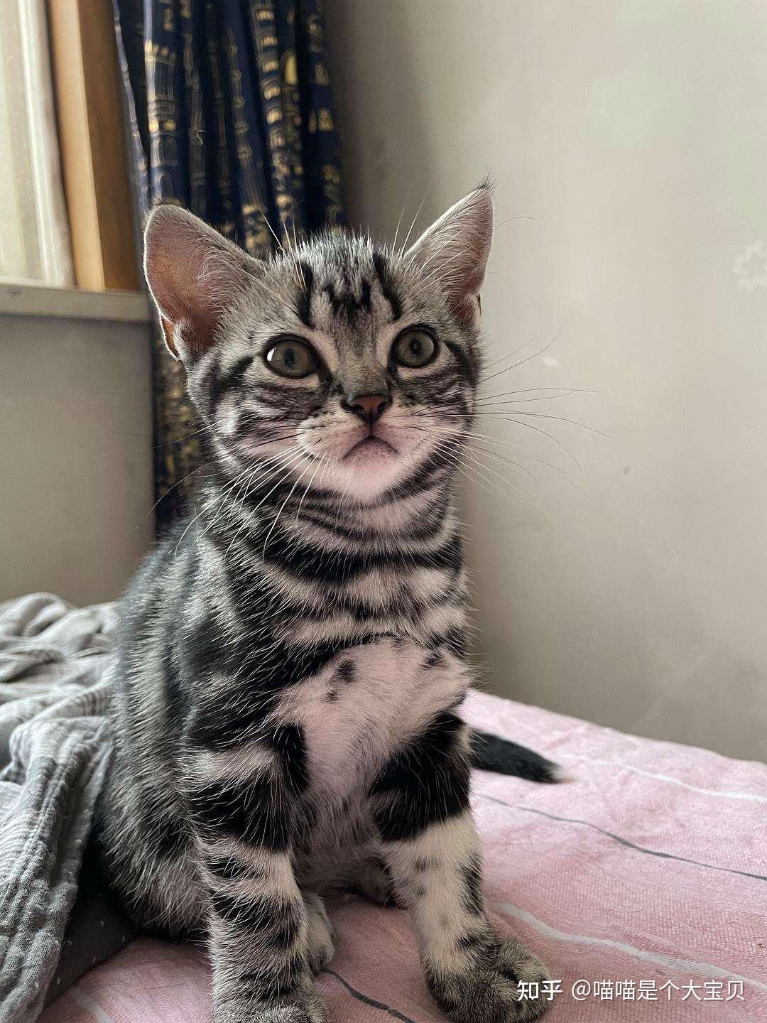 老板说一口500元,卖剩的最后一只了~你要就拿走~我看着看着,角落里一