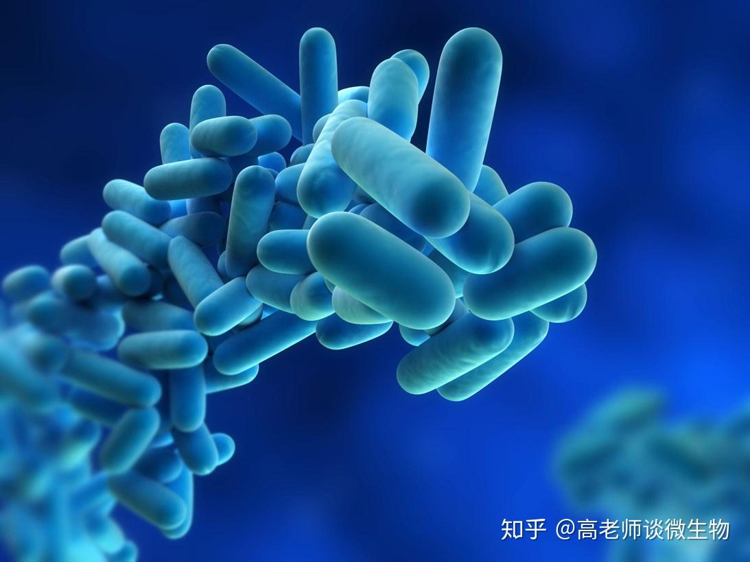 美国首次发现“超级细菌” 可抵抗所有抗生素 - 2016年5月27日, 俄罗斯卫星通讯社