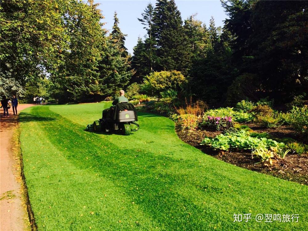 最初是法國總督拉波多內( labourdonnais )的私人花園,名為