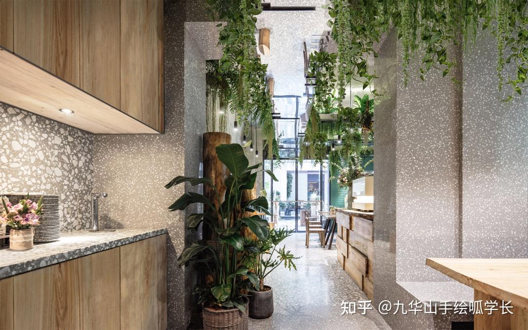 室内设计考研专题 | 室内绿植在空间中的应用 - 知乎