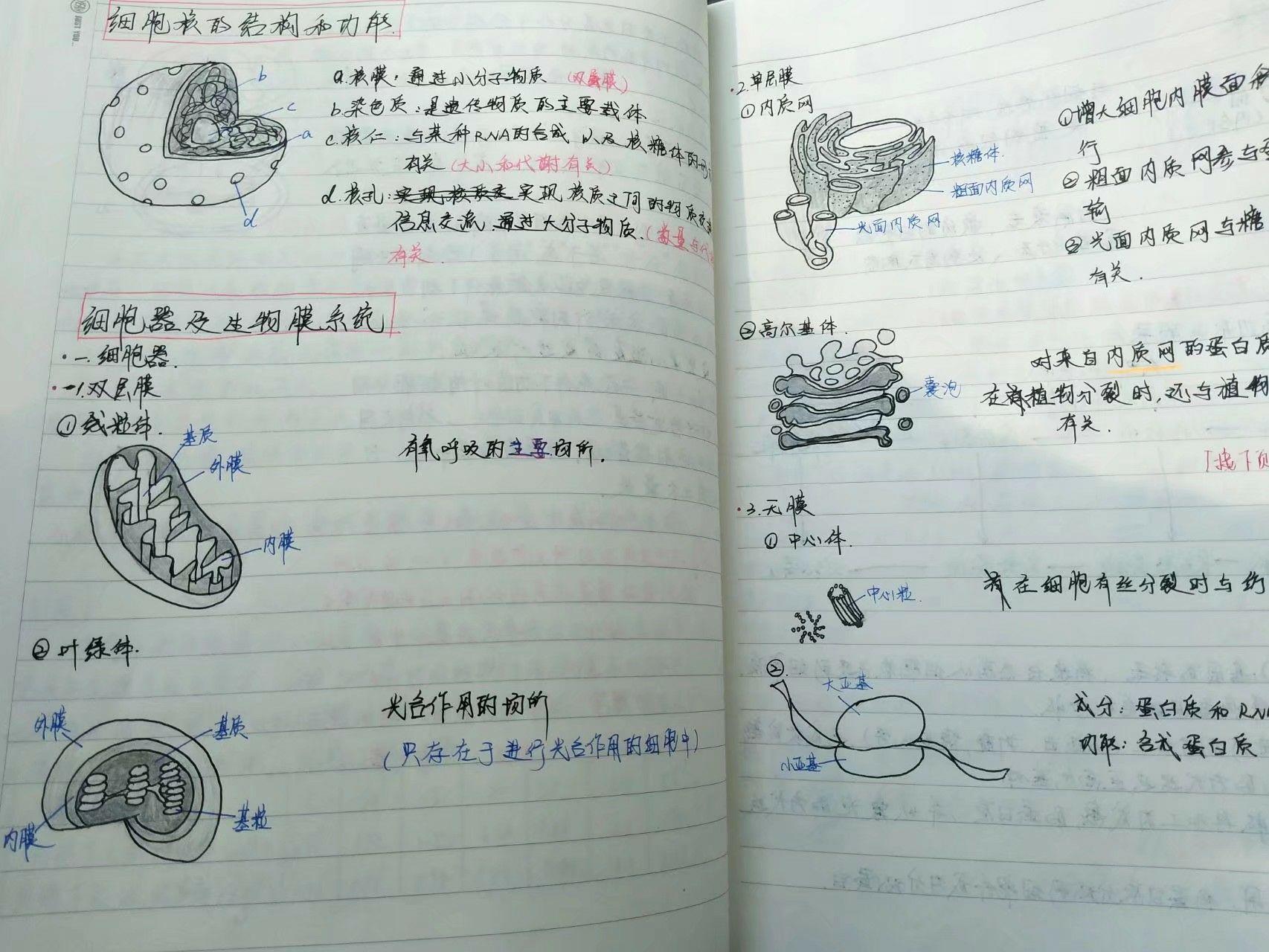 v2-1e59c877d7db486b73dd7cb903e6ca5a_r.jpg