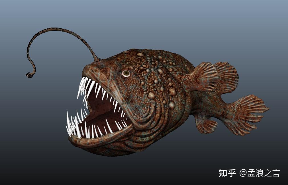 疯狂的进化——鮟鱇鱼:50万倍,自然界体形差异最大的夫妻 - 知乎