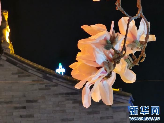 天水:玉兰花开香古巷 春意盎然迎客来 - 知乎