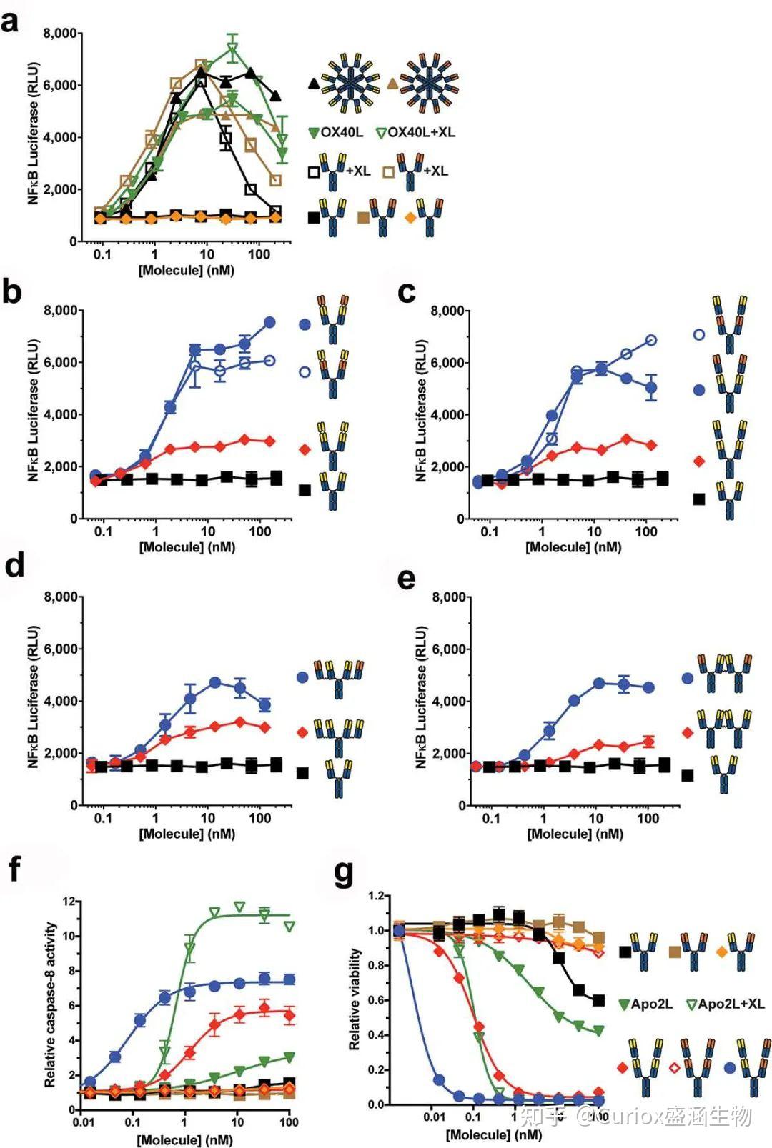 新技术加速抗体研发｜Genentech四价双表位抗体实现TNFRSF内在激动活性 - 知乎