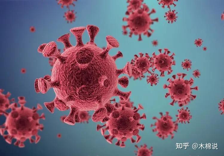 果然印度变异病毒传进中国了