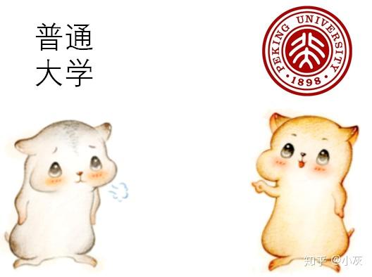 什么是 马太效应 知乎