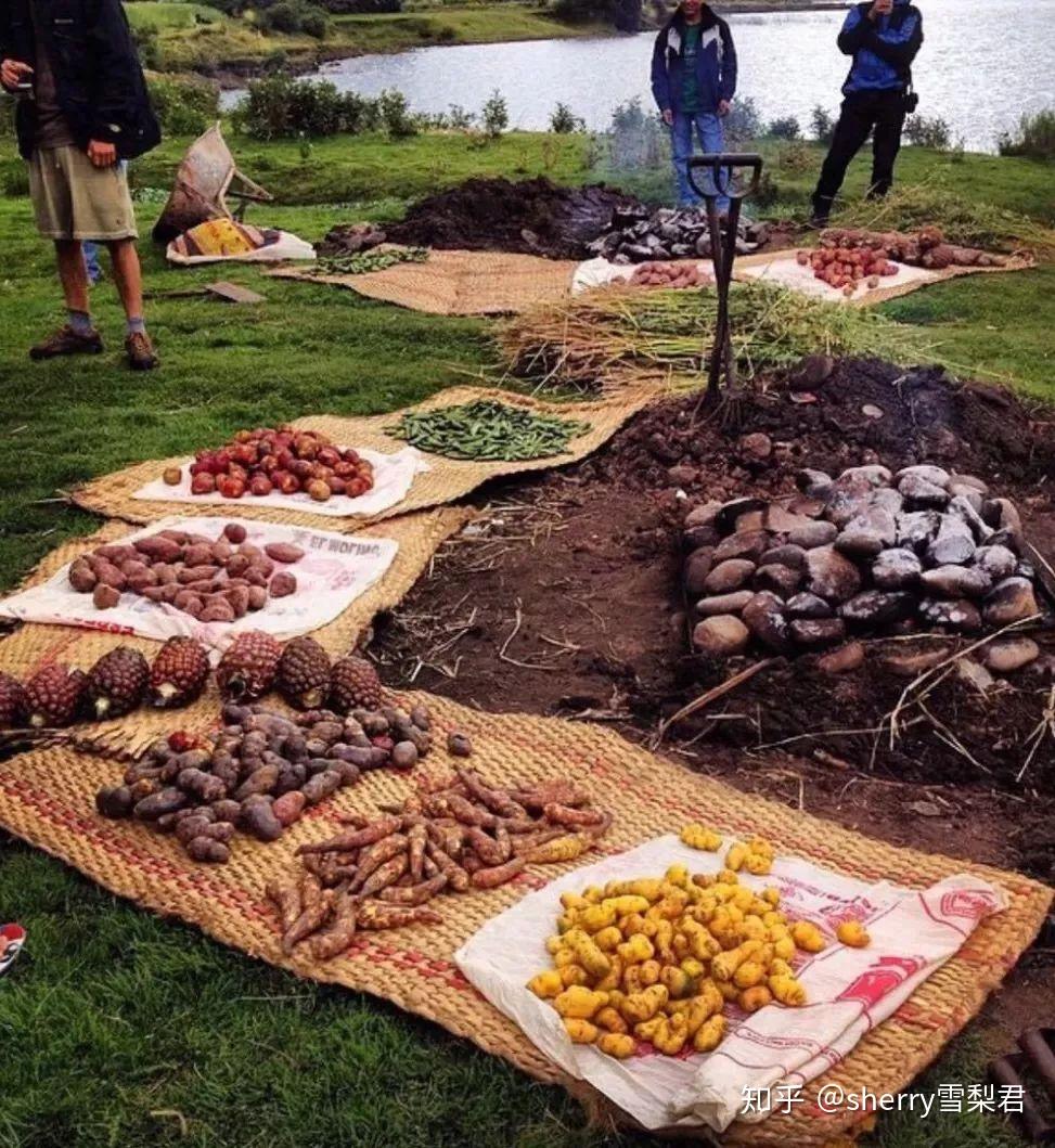 在失落的印加文明和狂野的自然景观中,领略这个南美风情小国的独特魅力