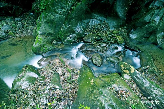 梵净山升仙之山,超越时空的净地,世间难得的一方净土-仙气飘飘的梵净山叫什么