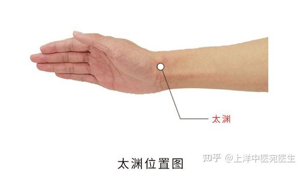 探秘太渊穴:人体的补气大穴! - 知乎