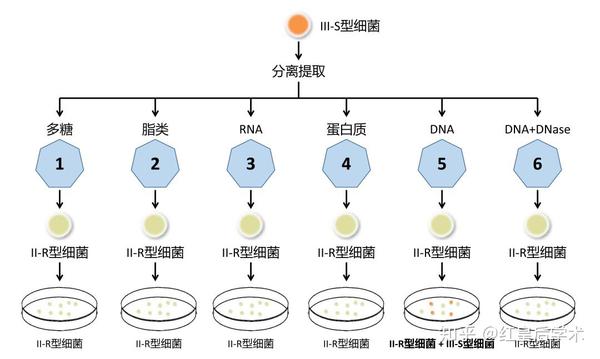 知乎专栏