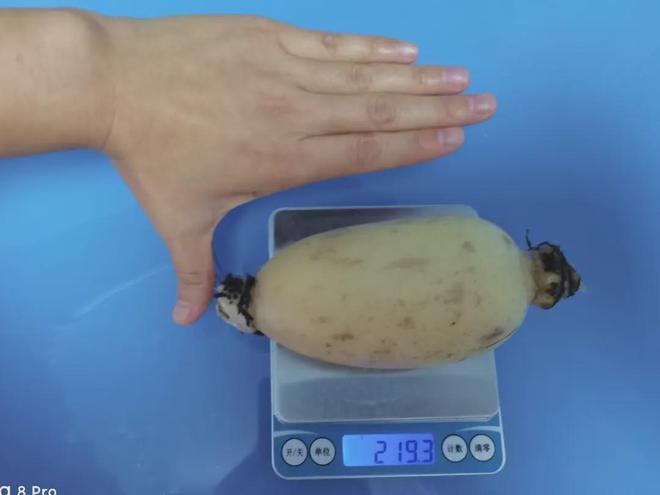 1 lotus root weighs about 200 grams