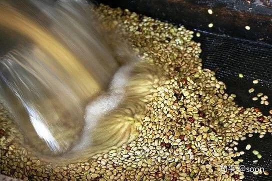 4,清洗咖啡果实,去除果胶;3,放入混凝土箱或者塑料桶中进行发酵过夜