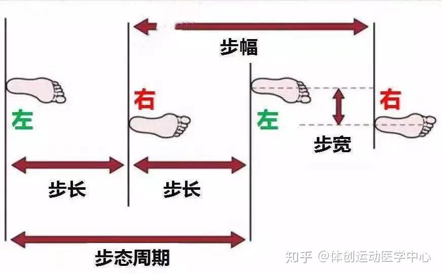 走路脚的正确姿势图解图片