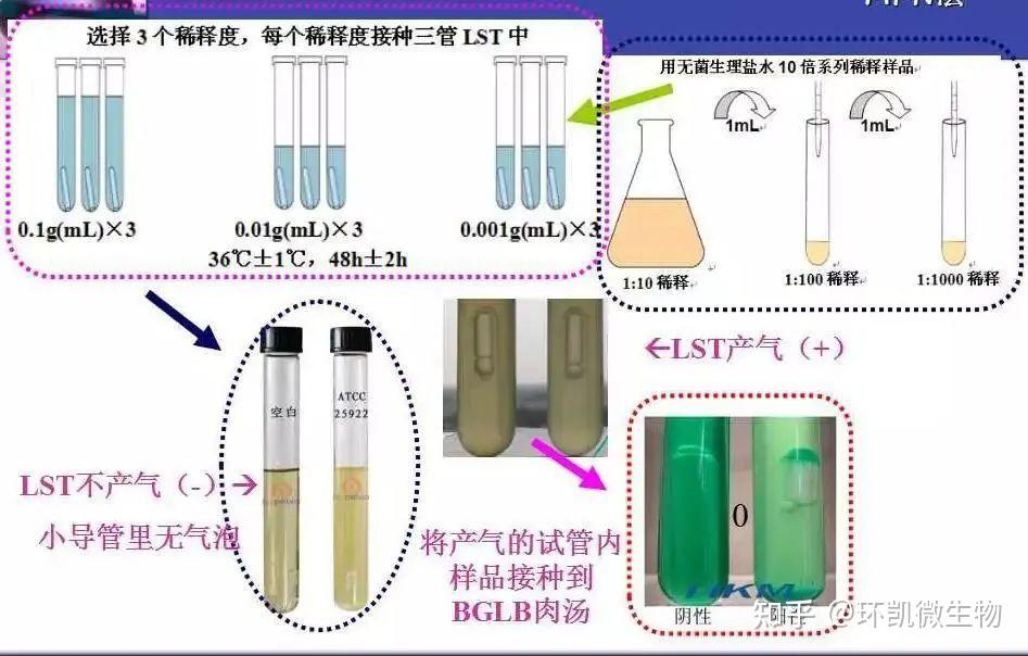 大肠菌群、粪大肠、大肠埃希氏菌检验的相关知识 - 知乎