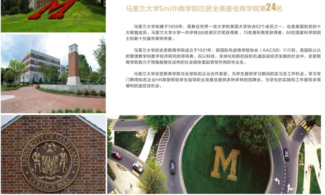 of minnesota荷蘭蒂爾堡大學tilburg university新加坡管理大學