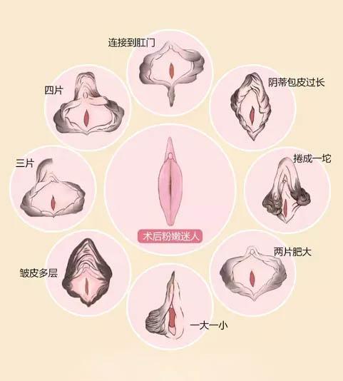 女生下面的样子图片