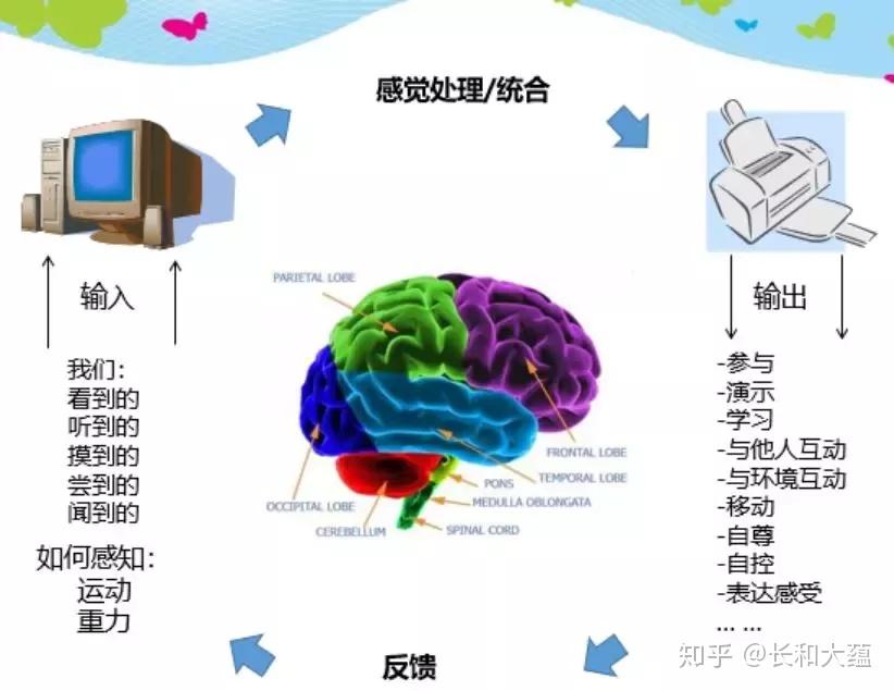 我们不断地通过7个感觉通路(视觉,听觉,味觉,嗅觉,本体觉,前庭觉,触觉