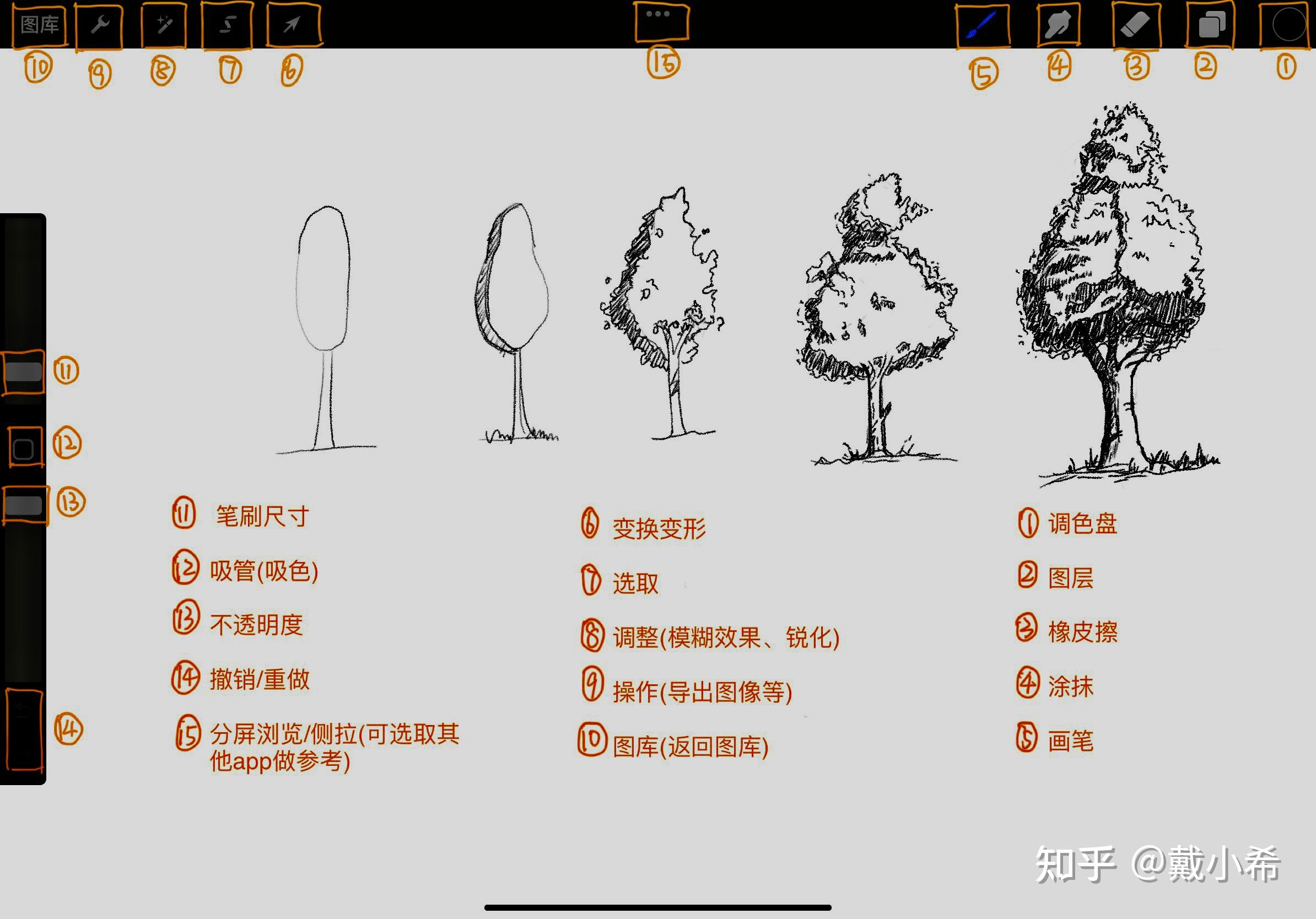 Procreate一些入门操作 - 知乎