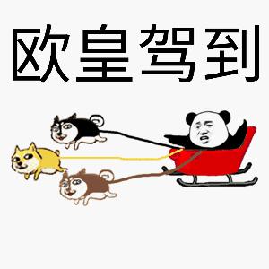 动图封面