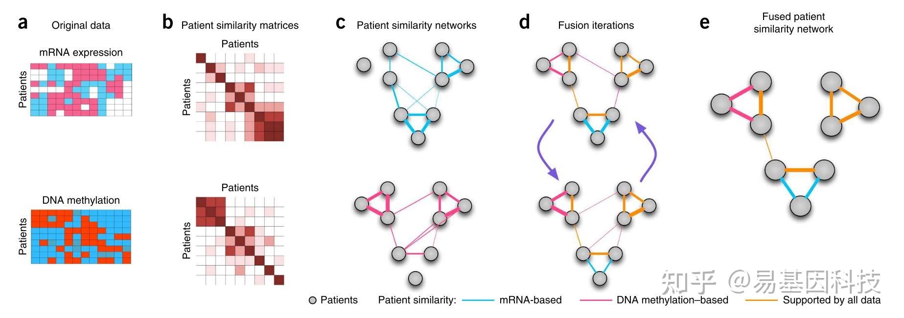易基因:多组学关联分析及组学分子实验验证方法(表观组+转录组+微生物组)|干货系列 - 深圳市易基因科技 - 博客园