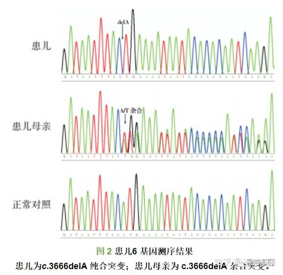 Somatic与Germline 变异检测在生信分析实践中的差异 - 知乎