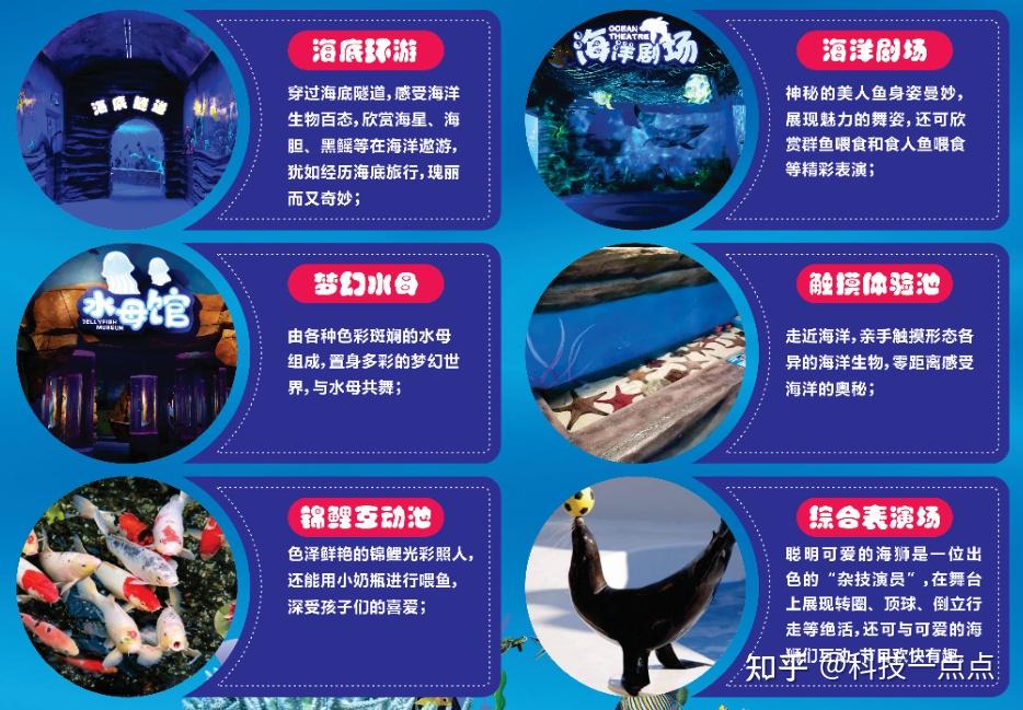 浏阳欢乐世界海洋王国图片