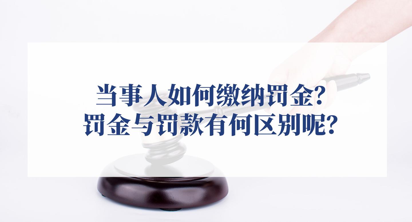 当事人如何缴纳罚金?罚金与罚款有何区别呢? - 知乎